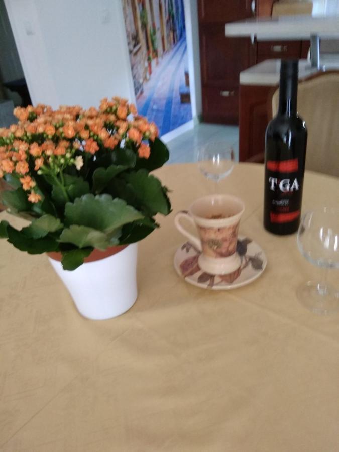 Apartman 4 Rijeka Zewnętrze zdjęcie